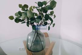 Apartment Lisboa Laranjeiras Apartment Lisboa Laranjeiras