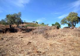 Old House to Rebuild with Land Old House to Rebuild with Land