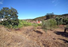 Old House to Rebuild with Land Old House to Rebuild with Land