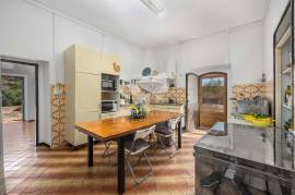 3 bedroom farmhouse with 2 outbuildings and 3 hectares (7.5 aces) for modernisation. Santa Bárbara de Nexe. 3 bedroom farmhouse with 2 outbuildings and 3 hectares (7.5 aces) for modernisation. Santa Bárbara de Nexe.