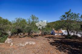 3 bedroom farmhouse with 2 outbuildings and 3 hectares (7.5 aces) for modernisation. Santa Bárbara de Nexe. 3 bedroom farmhouse with 2 outbuildings and 3 hectares (7.5 aces) for modernisation. Santa Bárbara de Nexe.