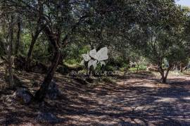 3 bedroom farmhouse with 2 outbuildings and 3 hectares (7.5 aces) for modernisation. Santa Bárbara de Nexe. 3 bedroom farmhouse with 2 outbuildings and 3 hectares (7.5 aces) for modernisation. Santa Bárbara de Nexe.