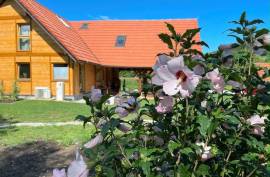 Luxury 5 Bed Holiday Home For Sale in Budinscina