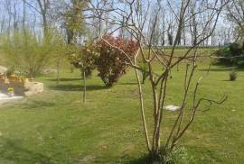Stunning 6 Bedroom Estate For Sale in Giacciano Veneto Italy