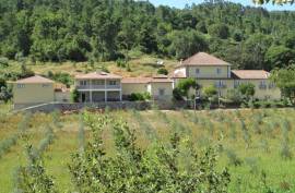 Luxury 6 bed villa with separate 3 bed apartment for sale in Santiago de Besteiros Tondela Portugal