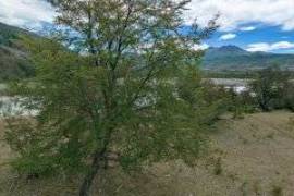 Excellent Plot of land for sale in Cochrane Aysen