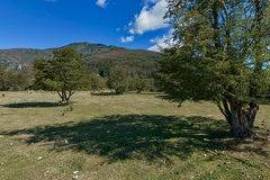 Excellent Plot of land for sale in Cochrane Aysen