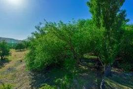Excellent Plot of land for sale in Cochrane Aysen