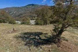 Excellent Plot of land for sale in Cochrane Aysen