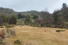 Excellent Plot of land for sale in Cochrane Aysen