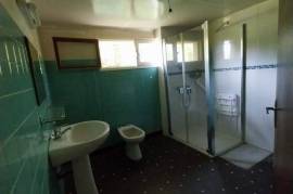 Detached House with Garden Detached House with Garden