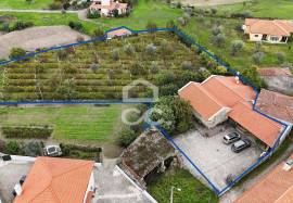 Typical Restaurant, in stone, with surrounding vineyard plantation in a village near Chaves