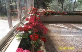 Excellent 4 Bed House For sale in Kapandriti Attica Greece