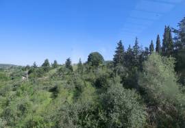 Excellent 4 Bed House For sale in Kapandriti Attica Greece
