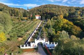 3 bedroom house in Krusedol Irig Serbia located in the foothills of Fruska Gora National Park – Wine
