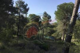 Land Sale Palamós