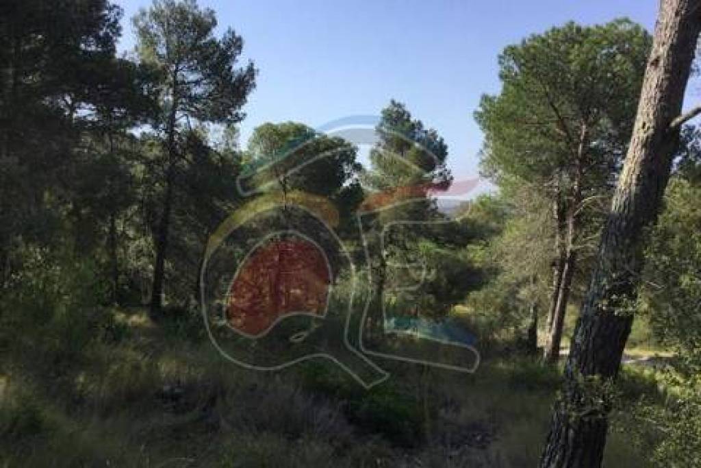 Land Sale Palamós