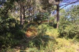 Land Sale Palamós