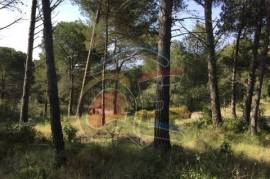 Land Sale Palamós