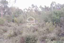 Land Lourinhã Cezaredas