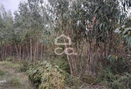 Land Lourinhã Cezaredas