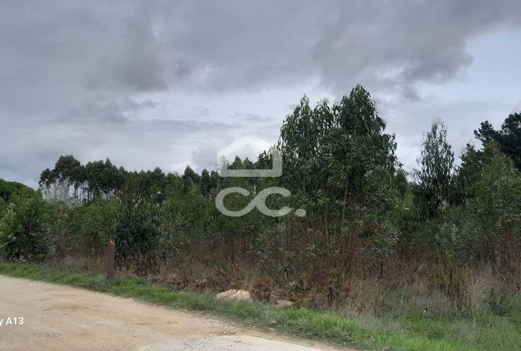 Land Lourinhã Cezaredas