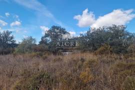 OUR LADY OF MACHEDE LAND