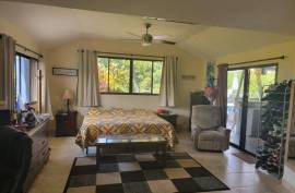 Luxury Ocean View Villa For Sale in Tarcoles Costa