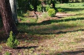 House & Land To Develop for sale in Jurmala