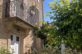Mansion House With Garden And Terrace