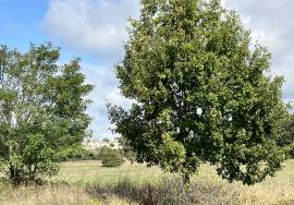 New Build Detached Property with Large Garden