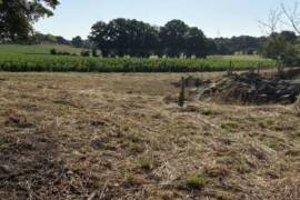 Stone Built Country House with Outbuilding