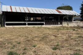 Stone Built Country House with Outbuilding