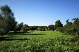 Building Plot with Services Nearby