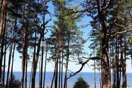 Detached house for sale in Jurmala, 233.00m2