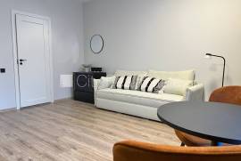Studio for rent in Riga, 27.30m2