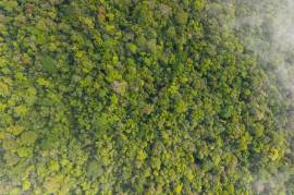 Finca Gran Bijagua: Breathtaking 10-Hectare Mountain Sanctuary in Bijagua, Costa Rica