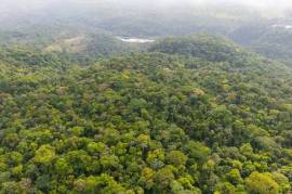 Finca Gran Bijagua: Breathtaking 10-Hectare Mountain Sanctuary in Bijagua, Costa Rica