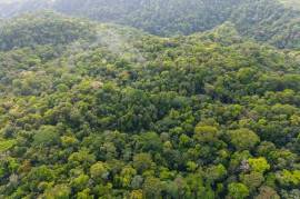 Finca Gran Bijagua: Breathtaking 10-Hectare Mountain Sanctuary in Bijagua, Costa Rica