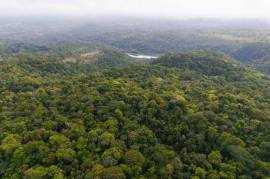 Finca Gran Bijagua: Breathtaking 10-Hectare Mountain Sanctuary in Bijagua, Costa Rica