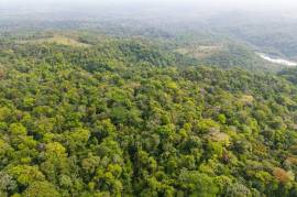 Finca Gran Bijagua: Breathtaking 10-Hectare Mountain Sanctuary in Bijagua, Costa Rica