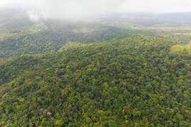 Finca Gran Bijagua: Breathtaking 10-Hectare Mountain Sanctuary in Bijagua, Costa Rica