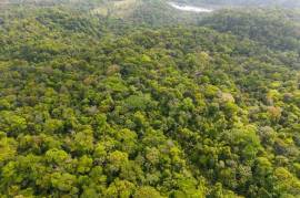 Finca Gran Bijagua: Breathtaking 10-Hectare Mountain Sanctuary in Bijagua, Costa Rica