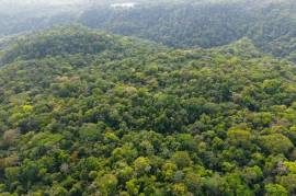 Finca Gran Bijagua: Breathtaking 10-Hectare Mountain Sanctuary in Bijagua, Costa Rica