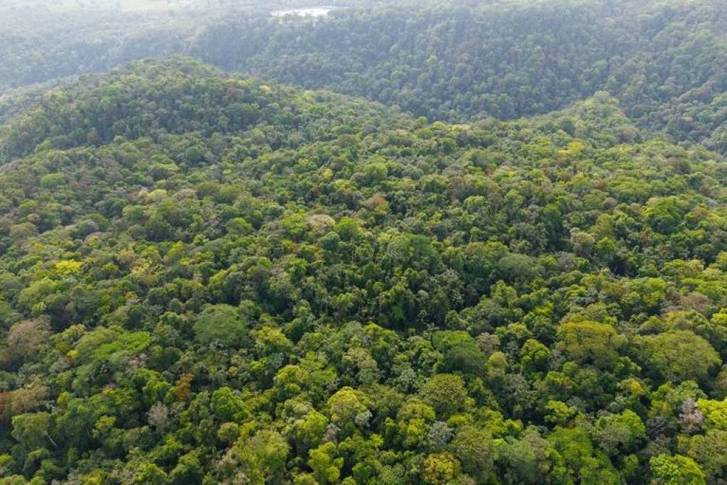 Finca Gran Bijagua: Breathtaking 10-Hectare Mountain Sanctuary in Bijagua, Costa Rica