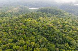 Finca Gran Bijagua: Breathtaking 10-Hectare Mountain Sanctuary in Bijagua, Costa Rica