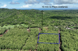 Lot #17 in Pinilla Teka: 5,000m2 Lot in Altos de Pinilla, Tranquility and Opportunity 10 Minutes from Playa Avellanas! Lot #17 in Pinilla Teka: 5,000m2 Lot in Altos de Pinilla, Tranquility and Opportunity 10 Minutes from Playa Avellanas!