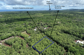Lot #17 in Pinilla Teka: 5,000m2 Lot in Altos de Pinilla, Tranquility and Opportunity 10 Minutes from Playa Avellanas! Lot #17 in Pinilla Teka: 5,000m2 Lot in Altos de Pinilla, Tranquility and Opportunity 10 Minutes from Playa Avellanas!