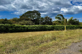 Lot for sale in Altos de los Robles: 1000 m2 ocean view lot for sale in Altos de los Robles community near Liberia International Airport
