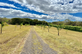 Lot for sale in Altos de los Robles: 1000 m2 ocean view lot for sale in Altos de los Robles community near Liberia International Airport